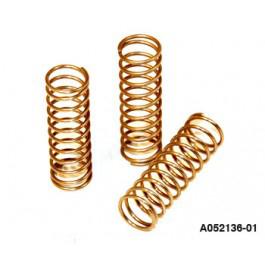 MAGAZINE HOLDING SPRING